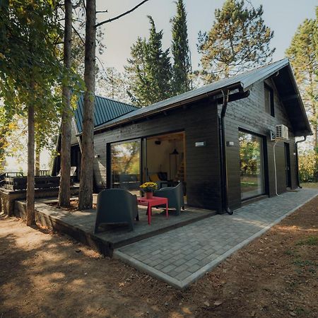 Villa Kuca Za Odmor Vrdnik Extérieur photo