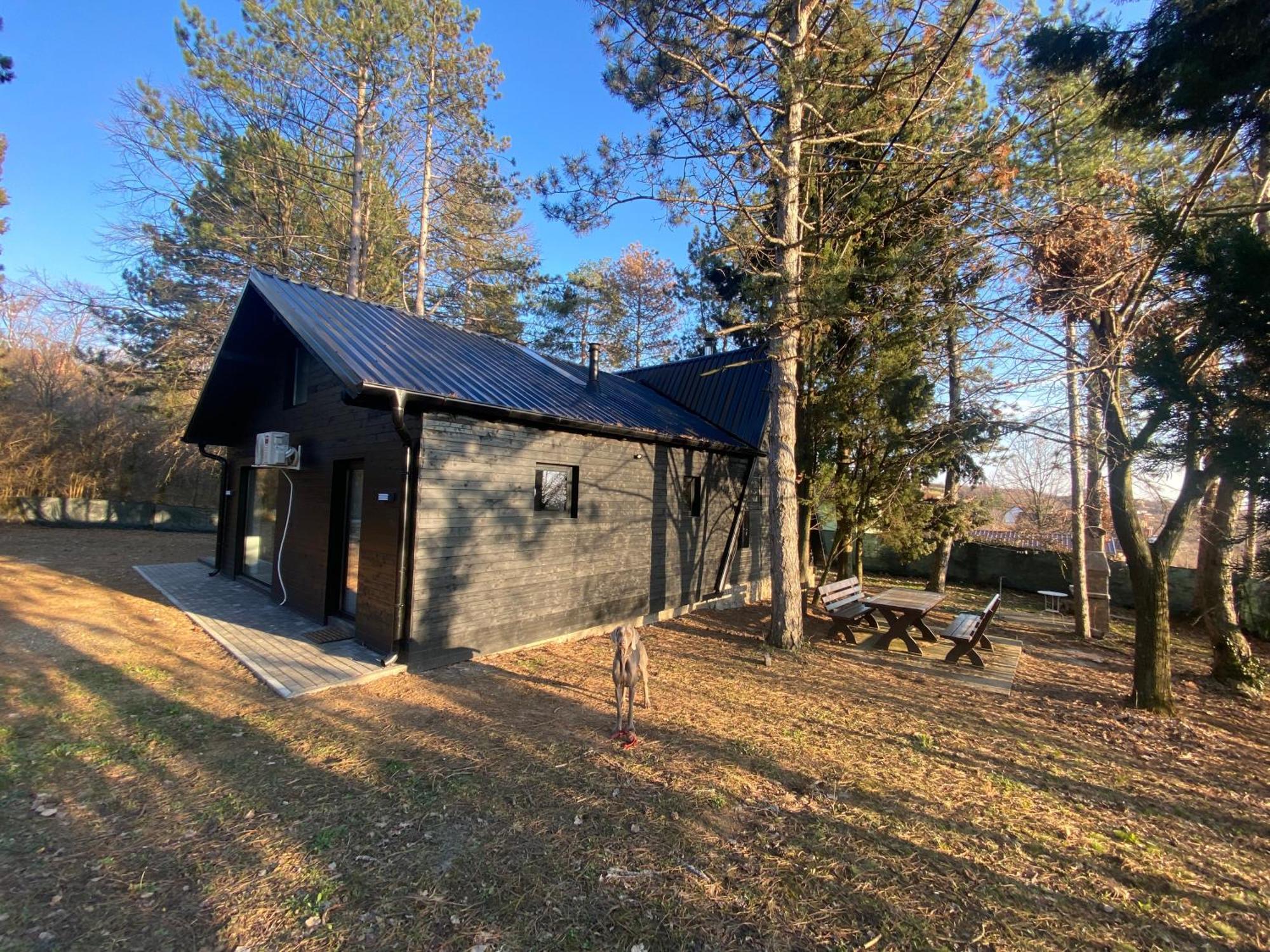 Villa Kuca Za Odmor Vrdnik Extérieur photo