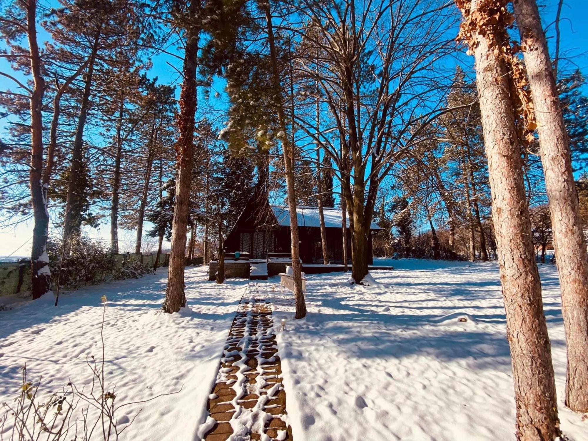 Villa Kuca Za Odmor Vrdnik Extérieur photo