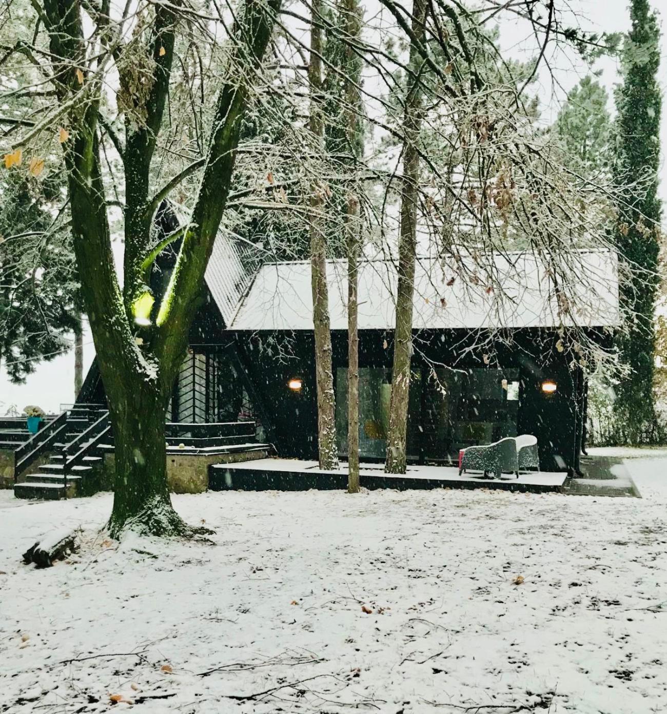 Villa Kuca Za Odmor Vrdnik Extérieur photo