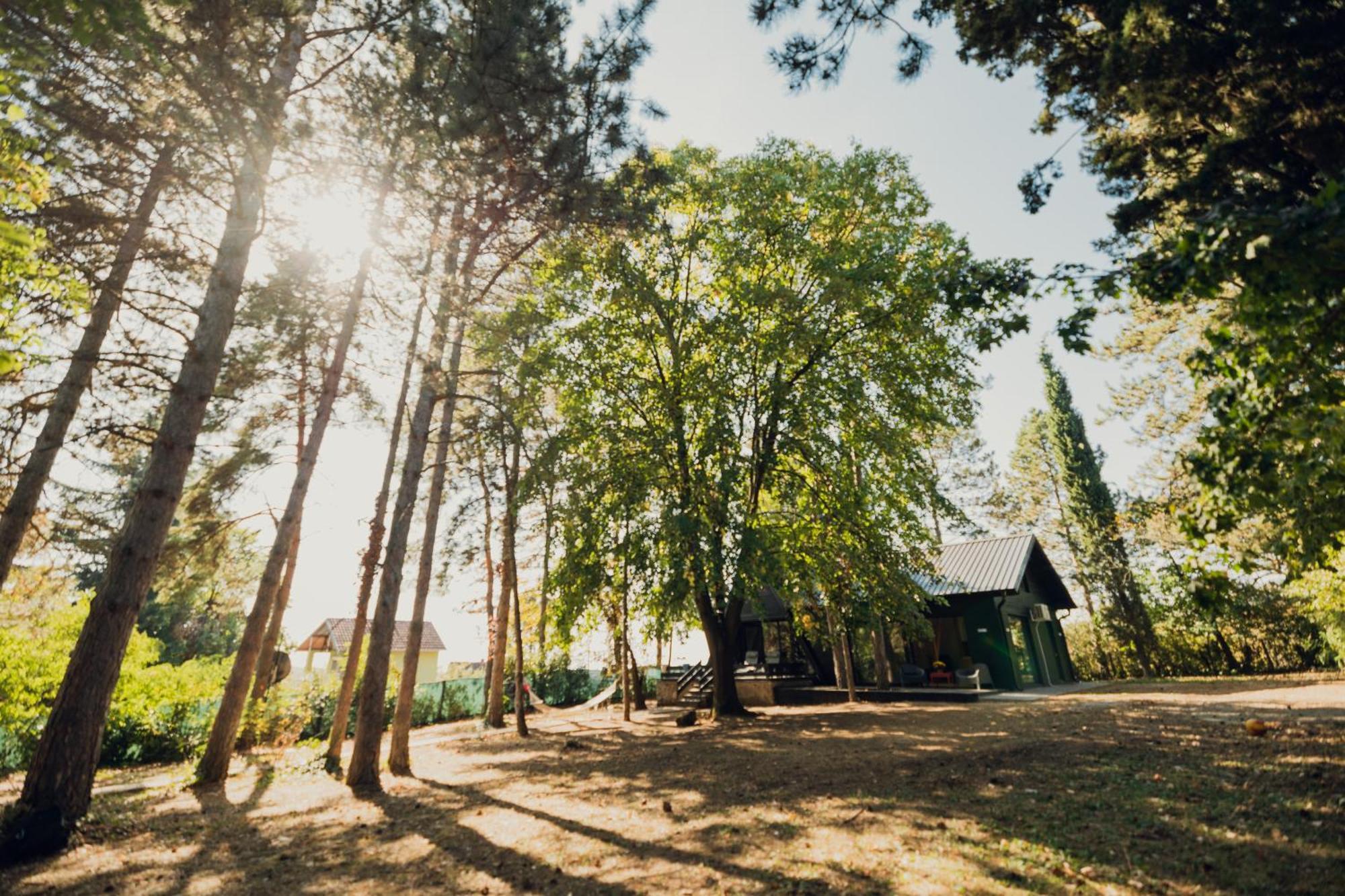 Villa Kuca Za Odmor Vrdnik Extérieur photo