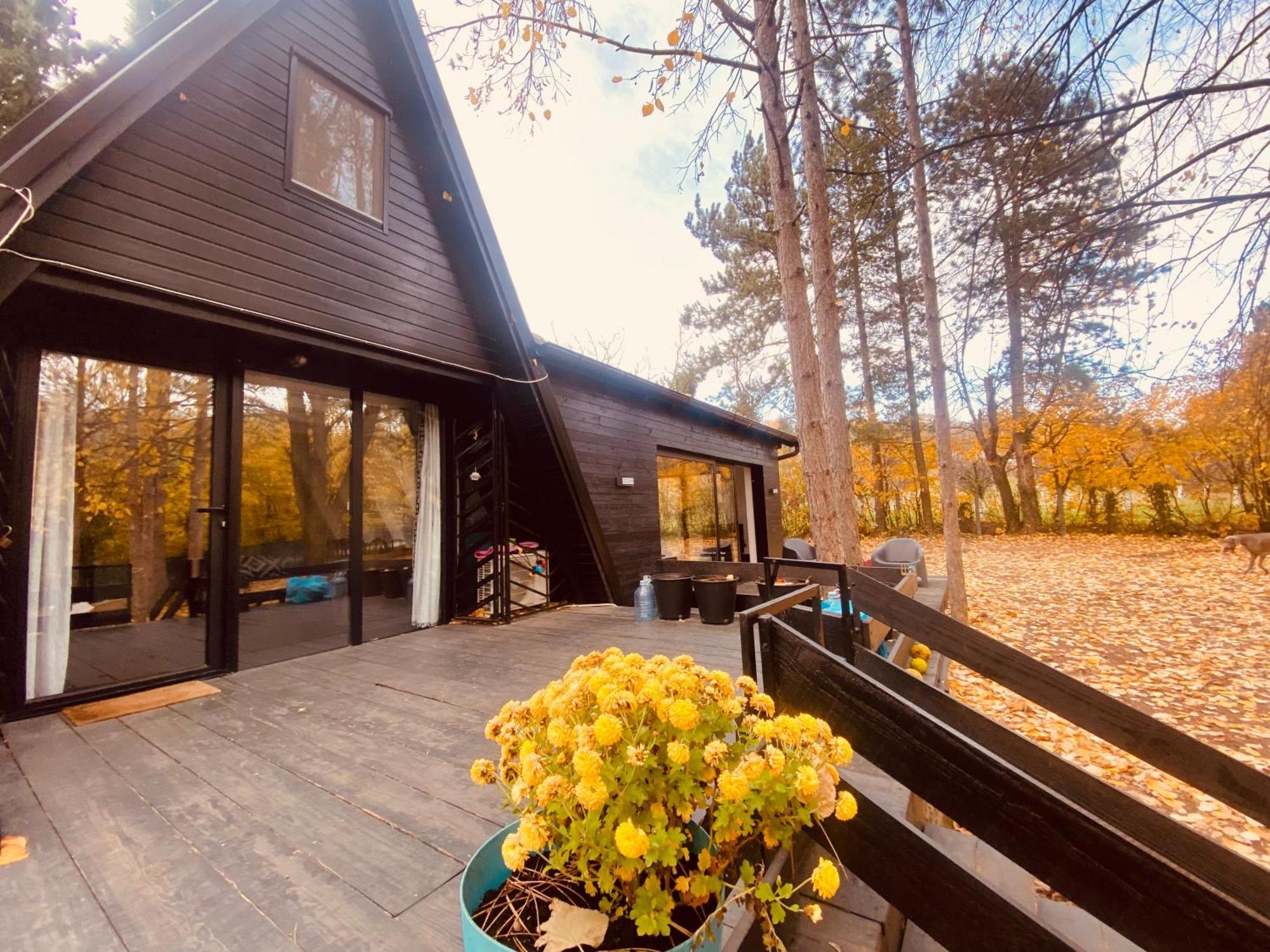 Villa Kuca Za Odmor Vrdnik Extérieur photo