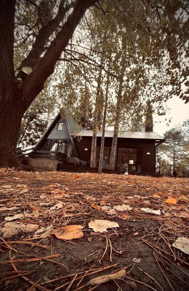 Villa Kuca Za Odmor Vrdnik Extérieur photo